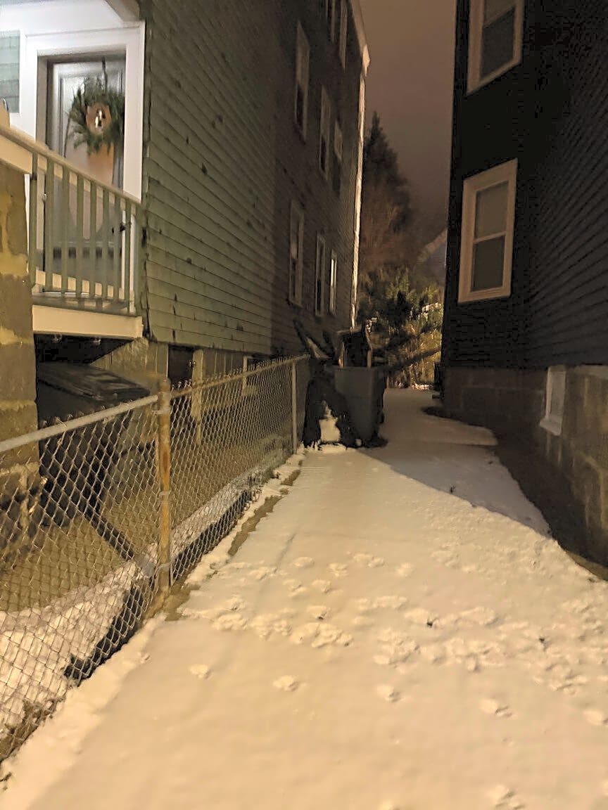 Image submitted with report