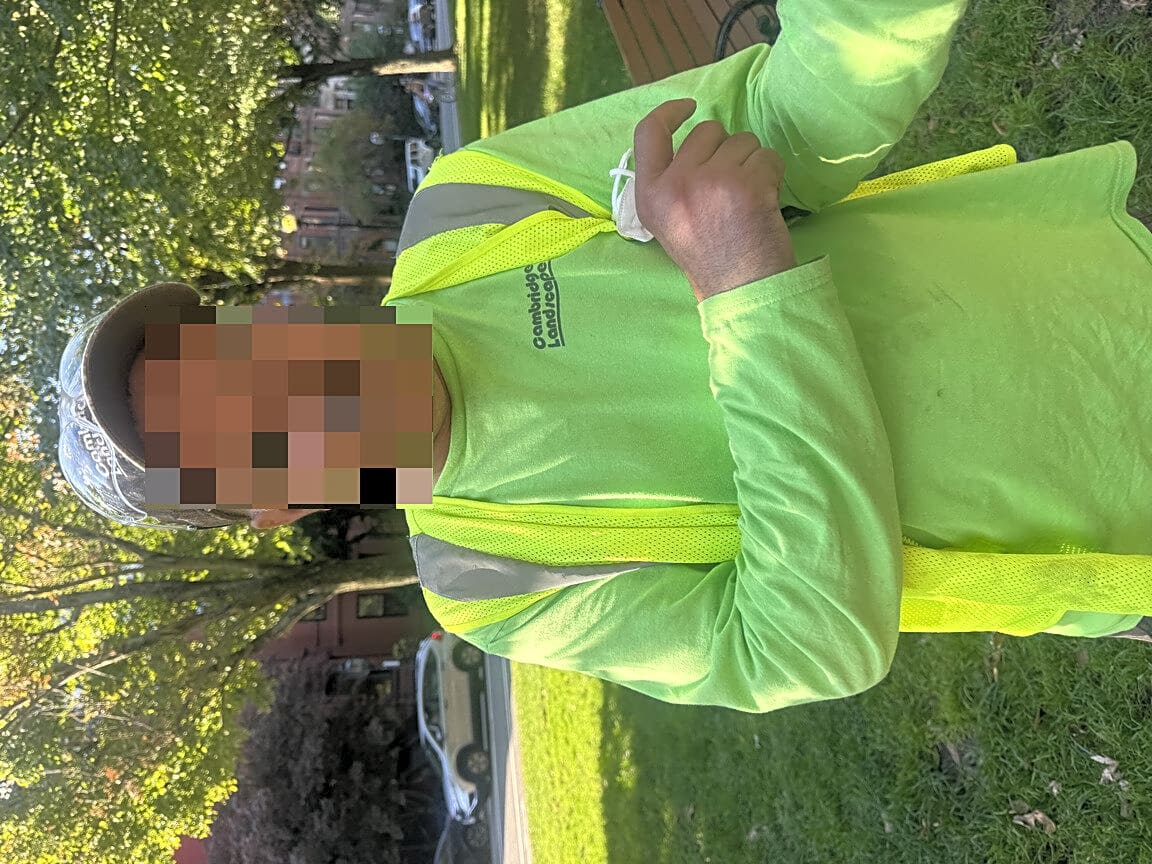 Image submitted with report