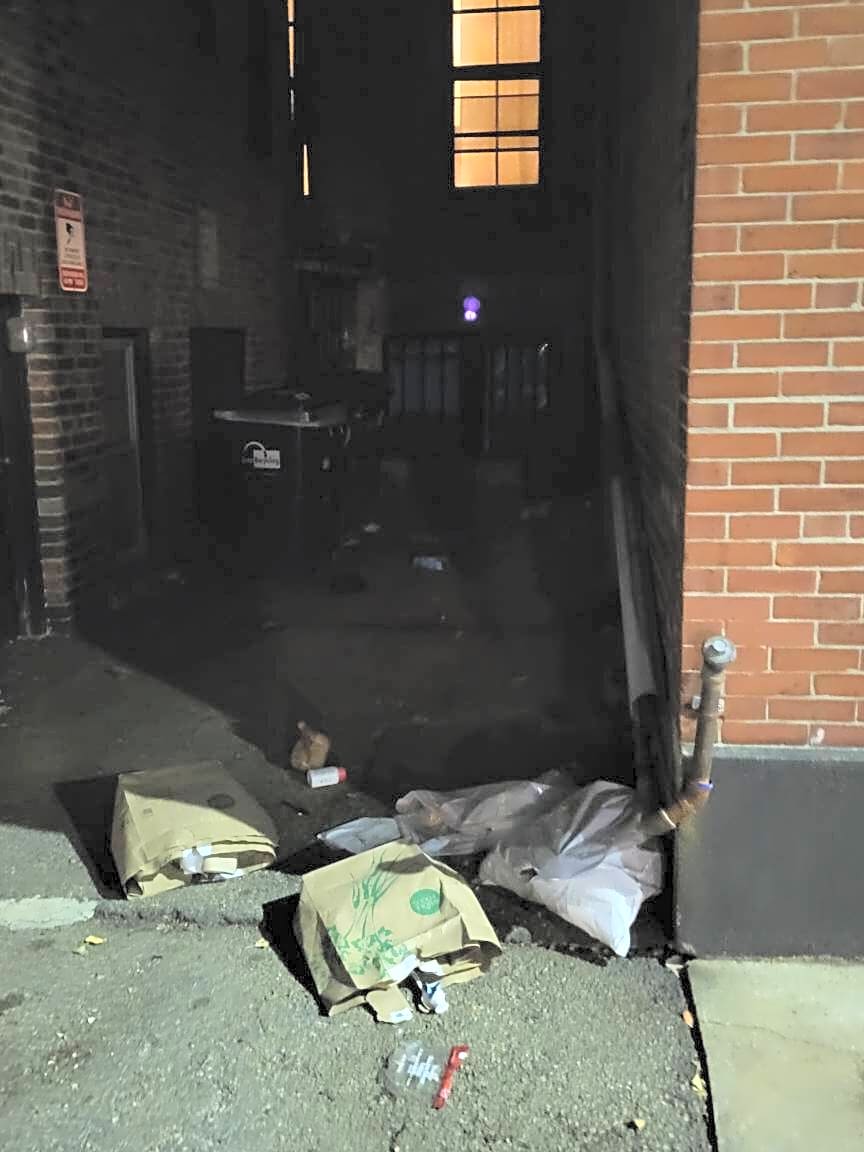 Image submitted with report