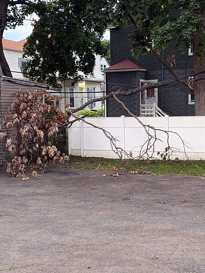 Image submitted with report