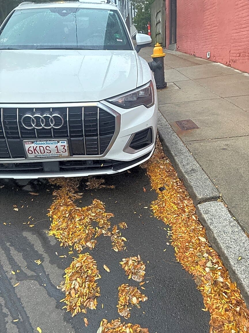 Image submitted with report