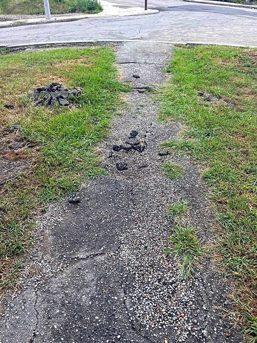 Image submitted with report