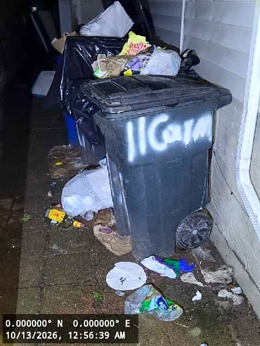 Image submitted with report
