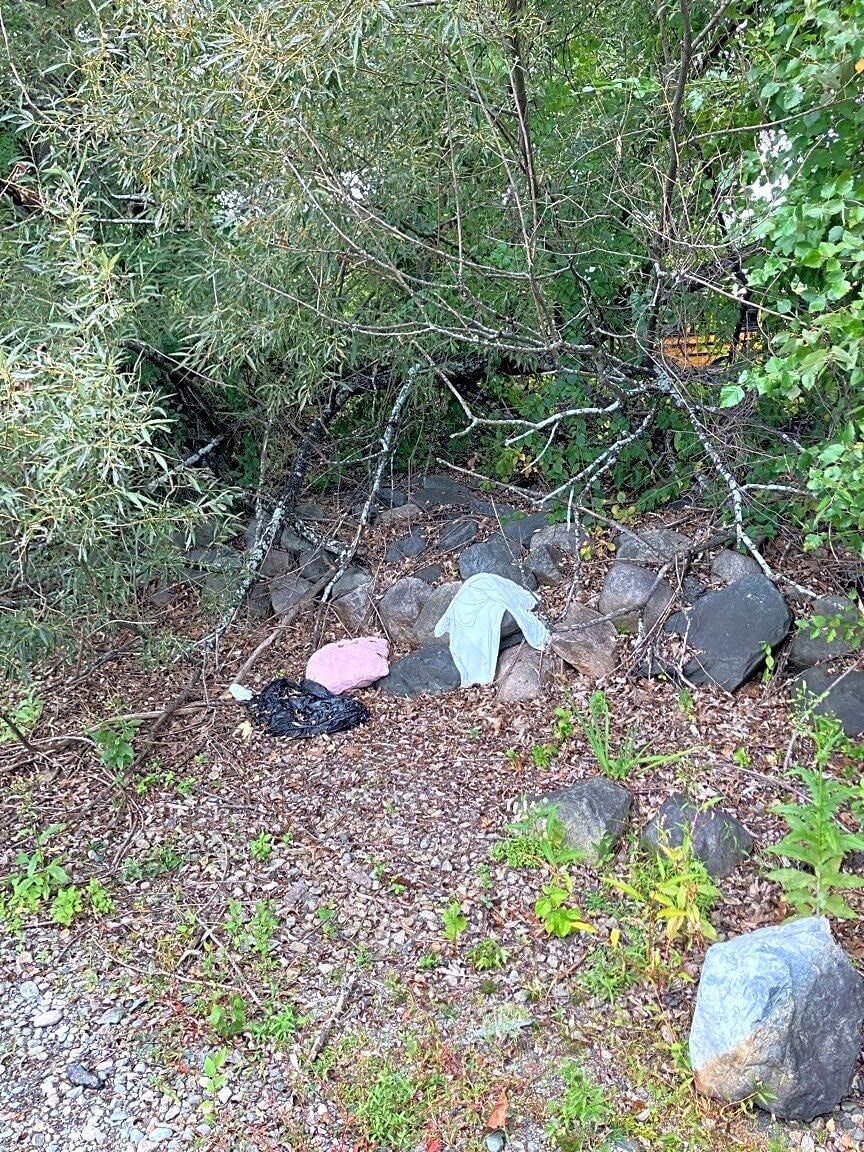 Image submitted with report