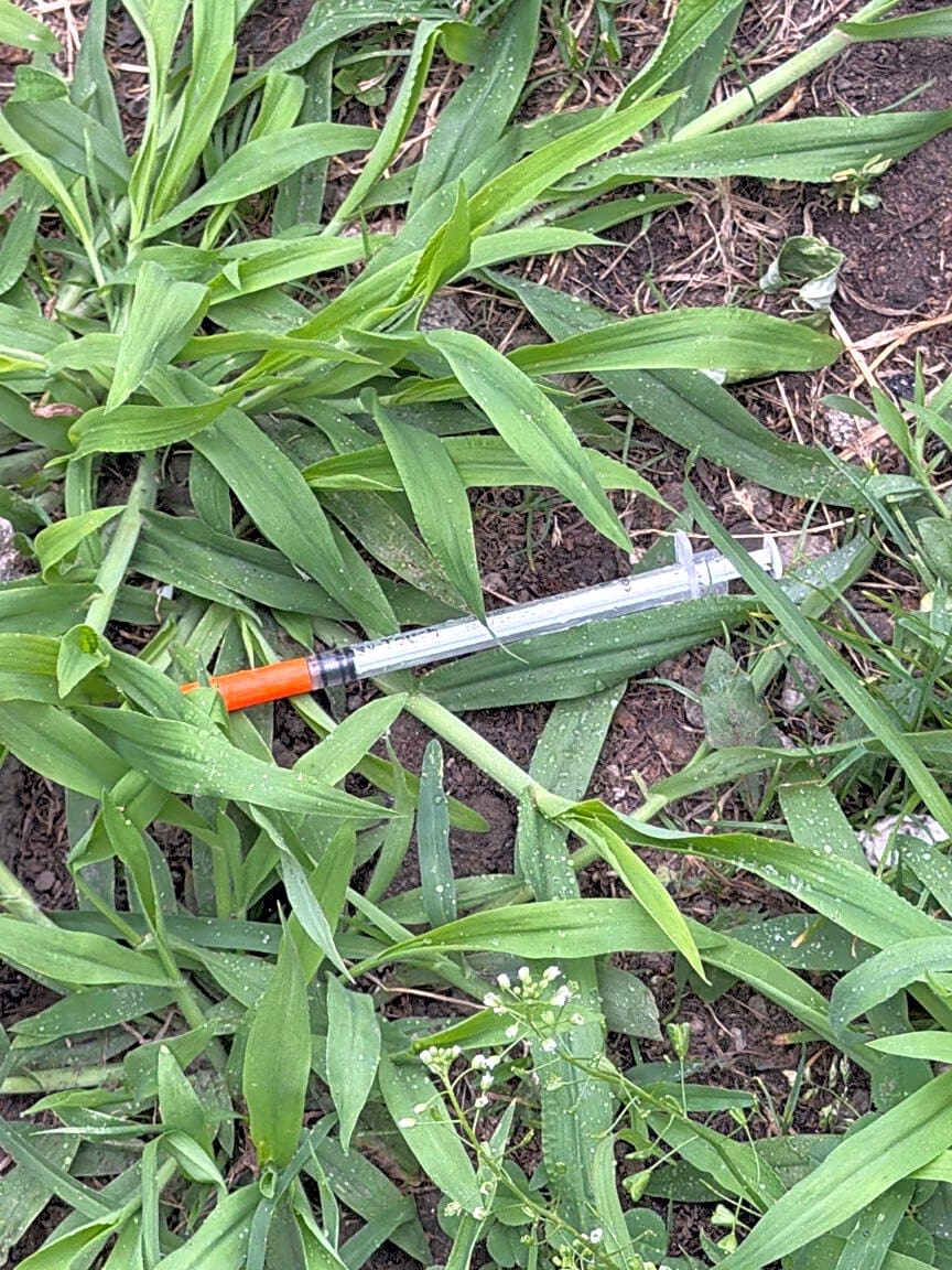 Image submitted with report