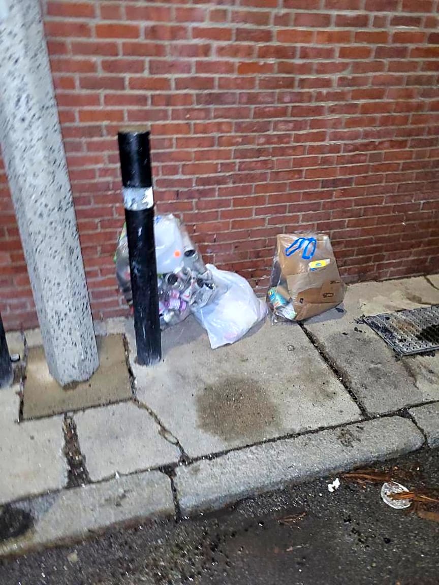 Image submitted with report