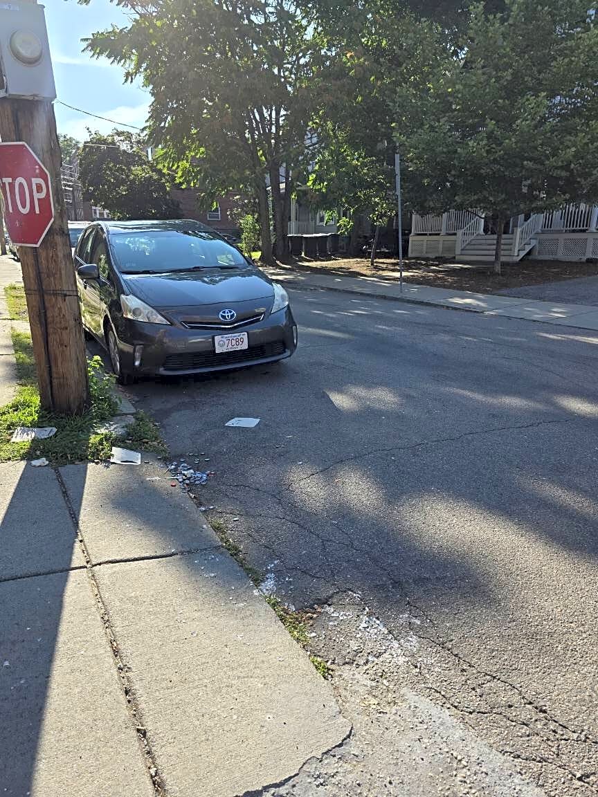 Image submitted with report