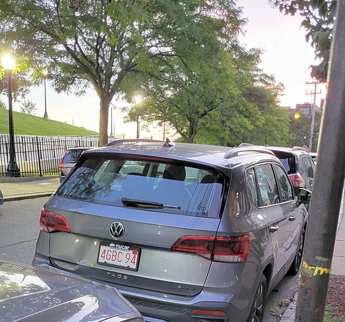 Image submitted with report