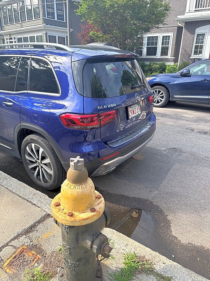 Image submitted with report