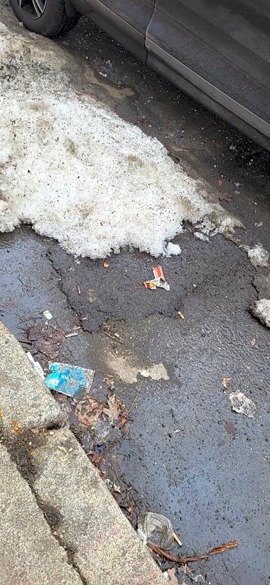 Image submitted with report