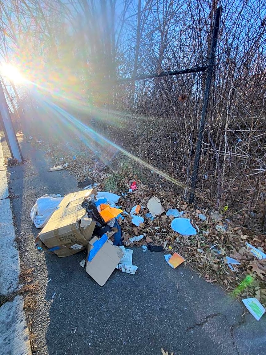 Image submitted with report