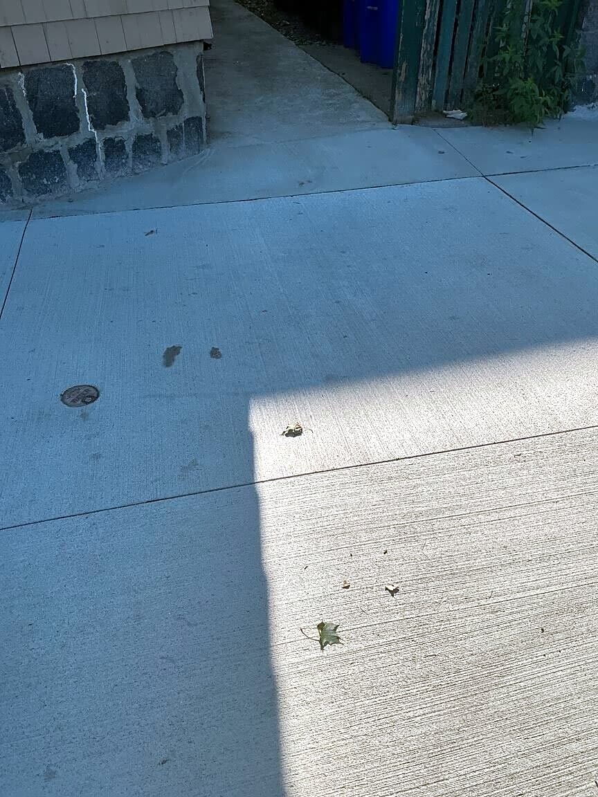 Image submitted with report