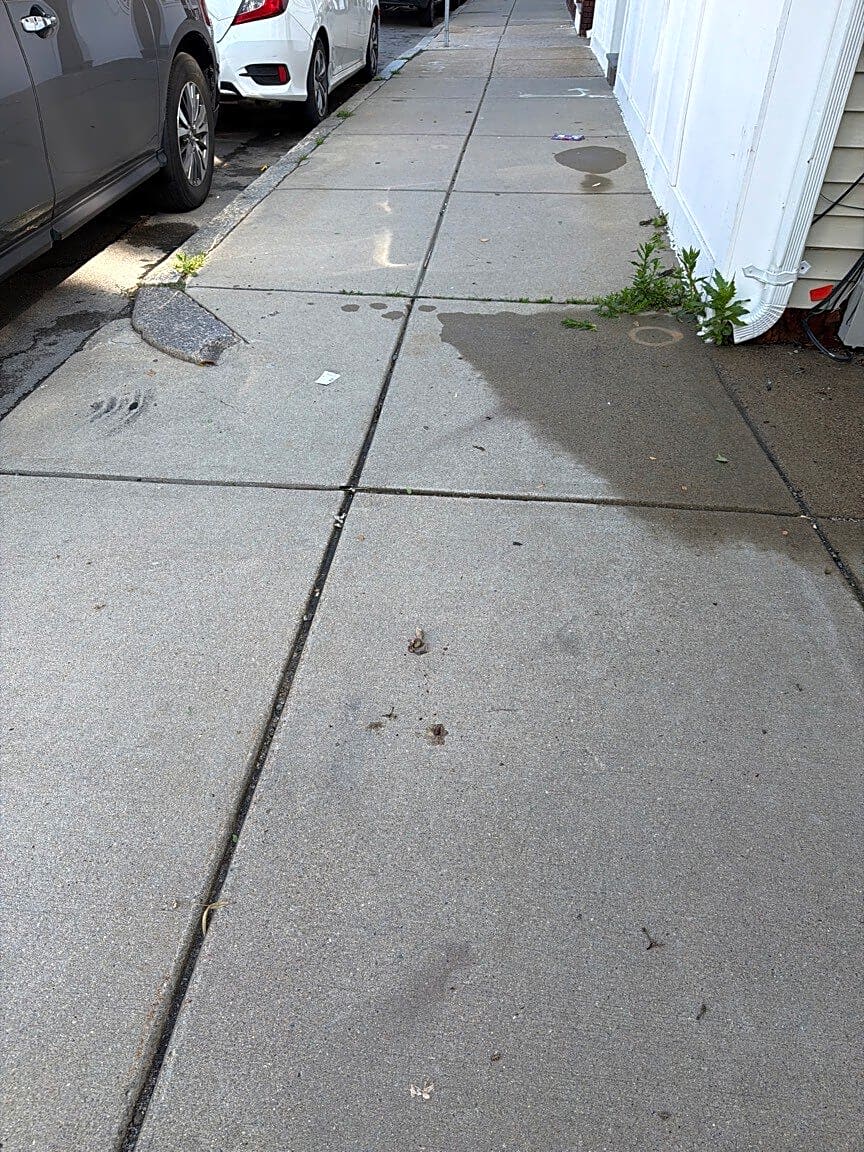 Image submitted with report