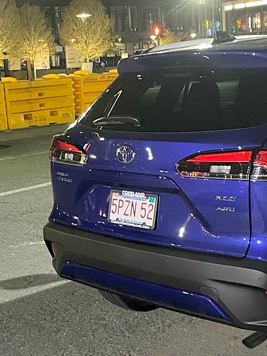 Image submitted with report