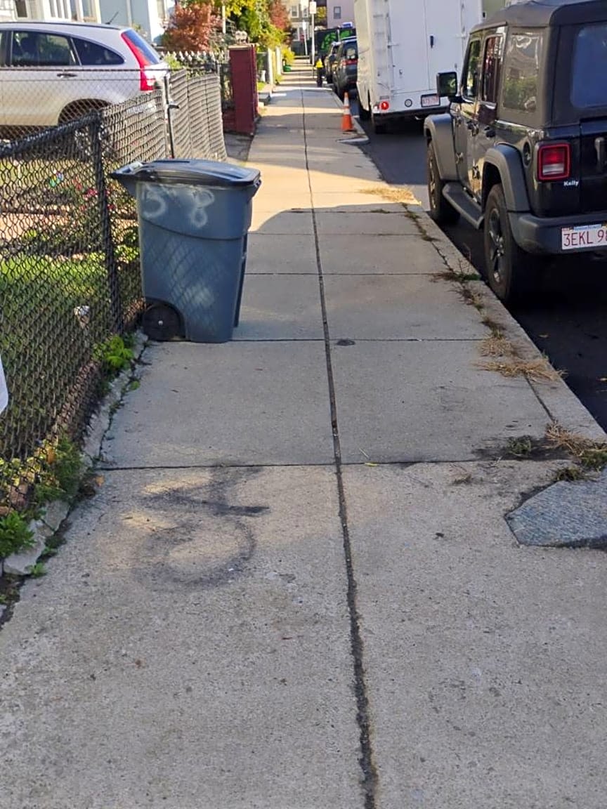 Image submitted with report