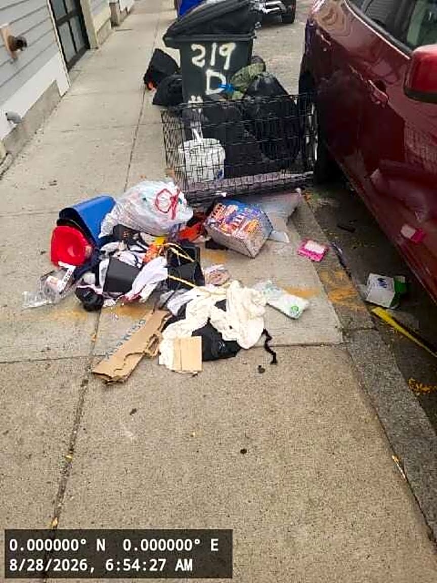 Image submitted with report