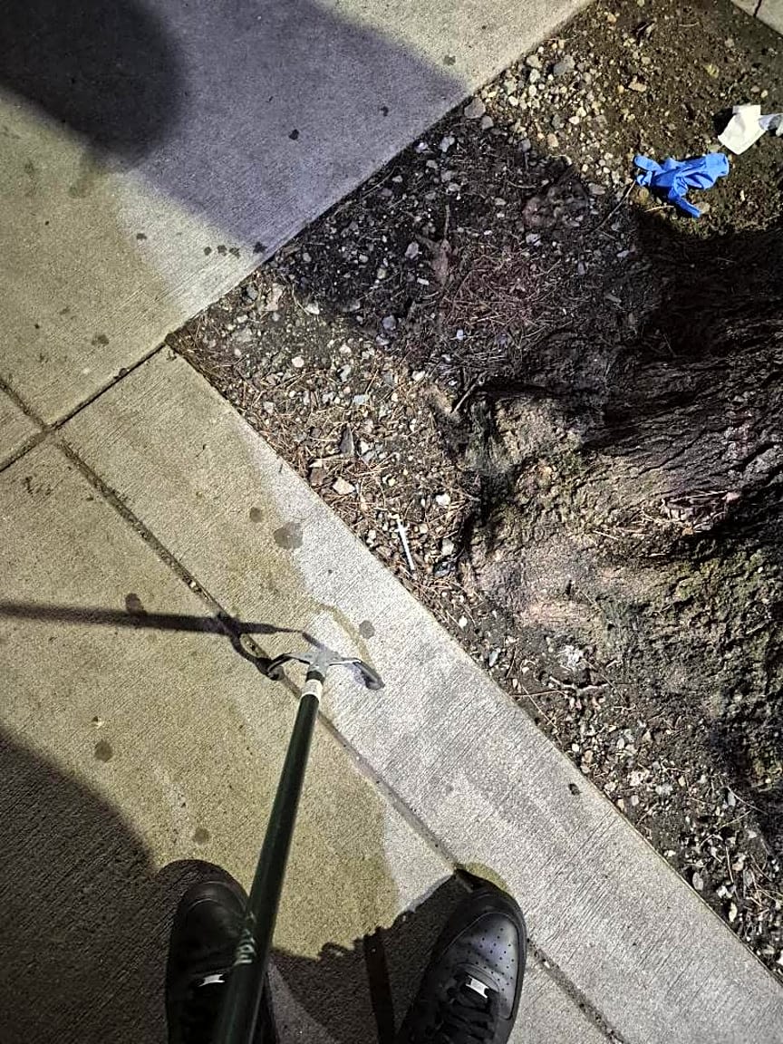 Image submitted with report