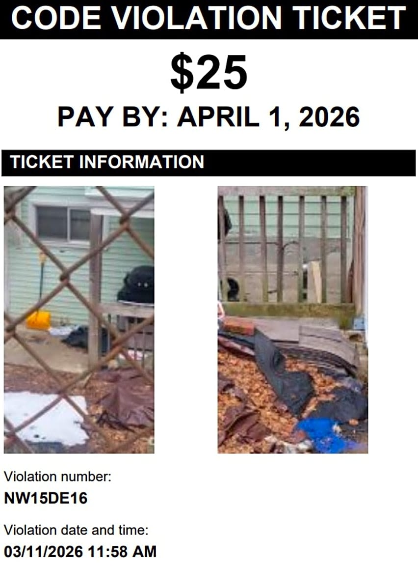 Image submitted with report