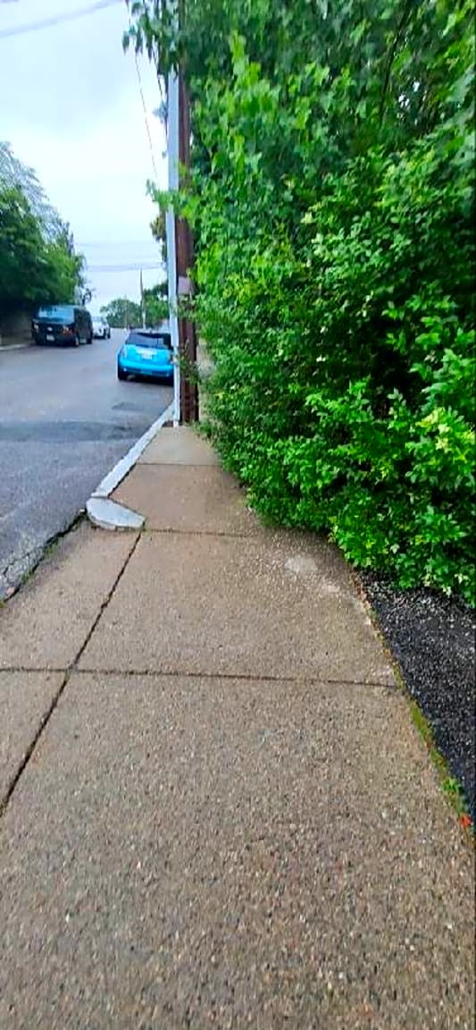 Image submitted with report