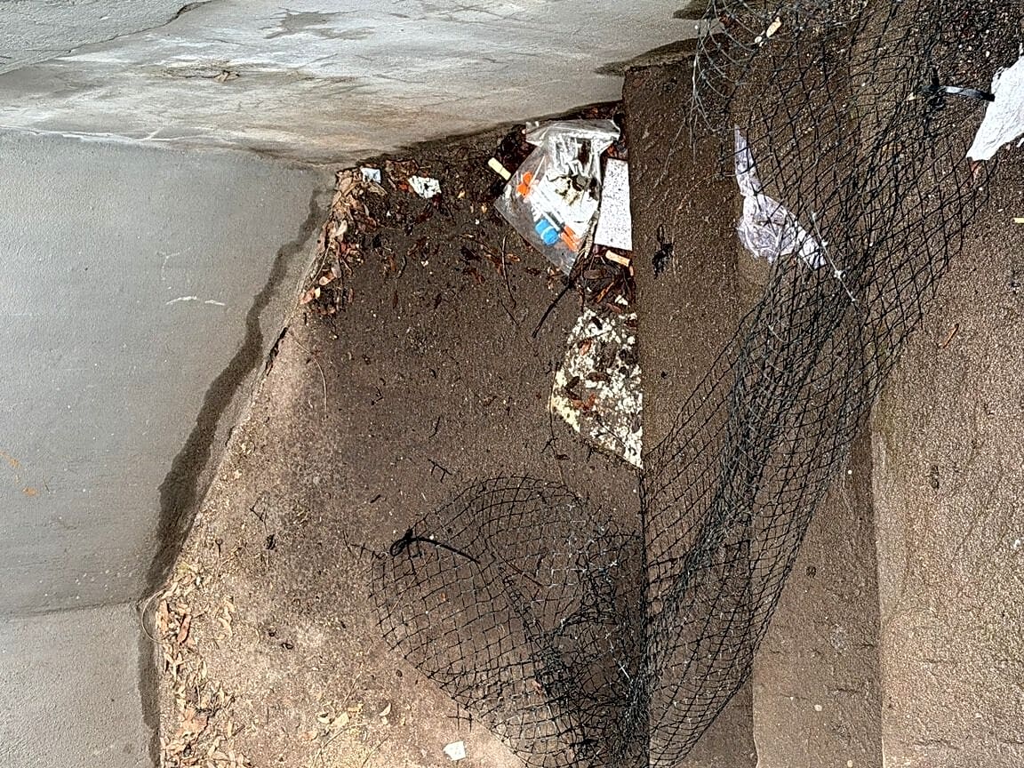 Image submitted with report