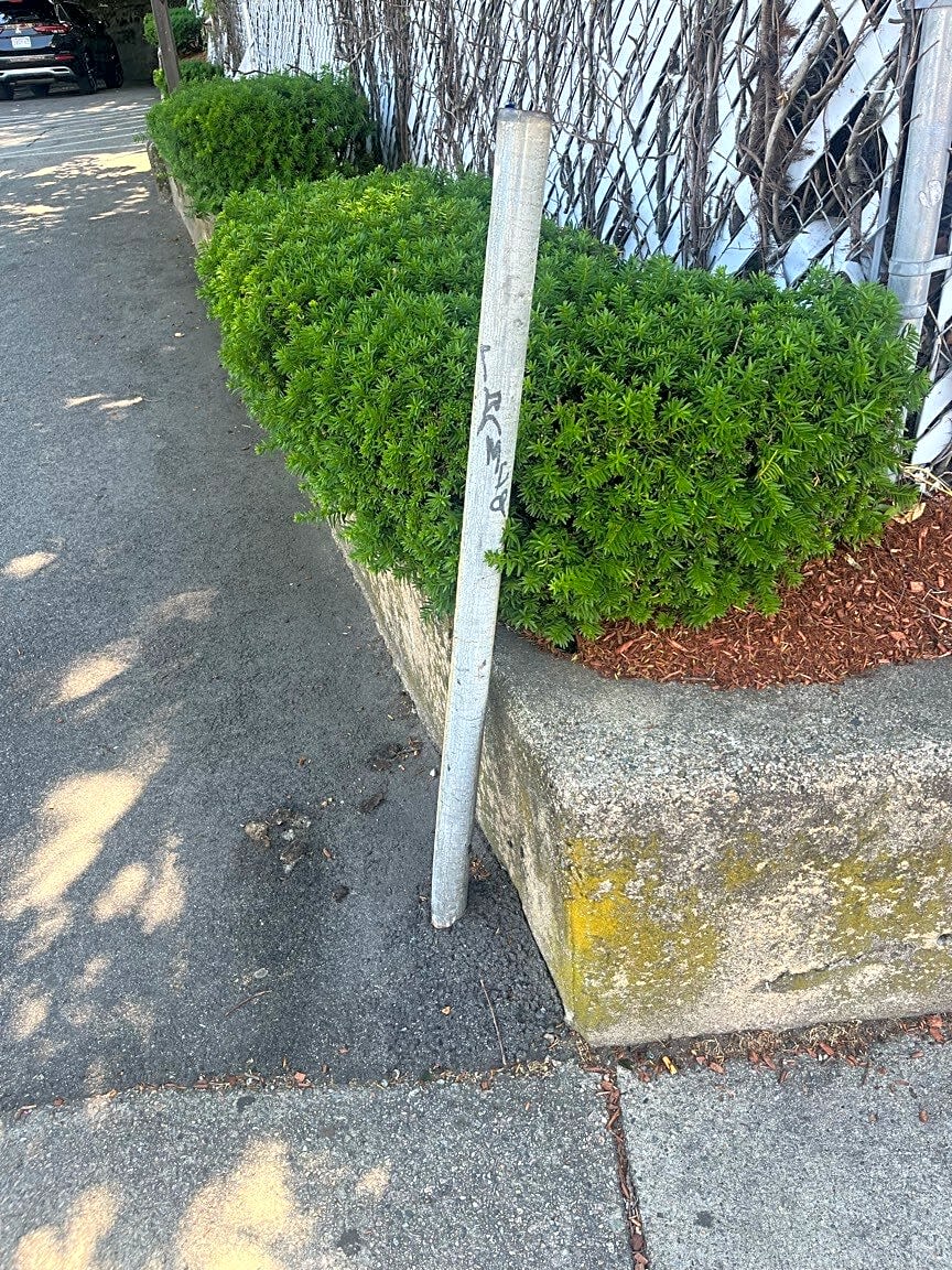 Image submitted with report