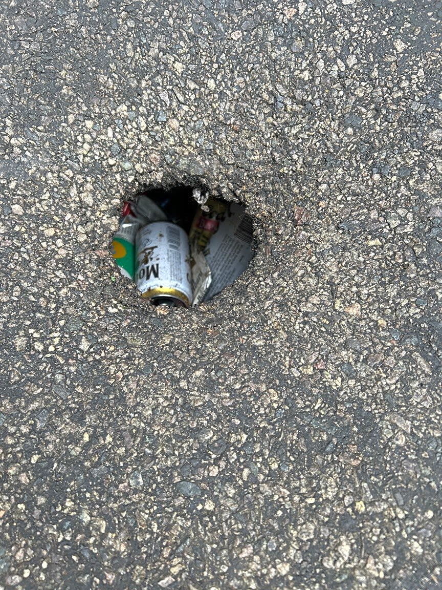 Image submitted with report