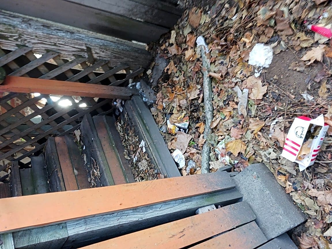 Image submitted with report