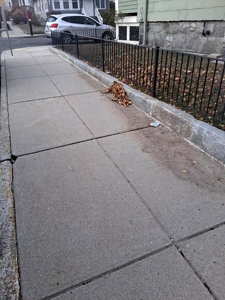 Image submitted with report