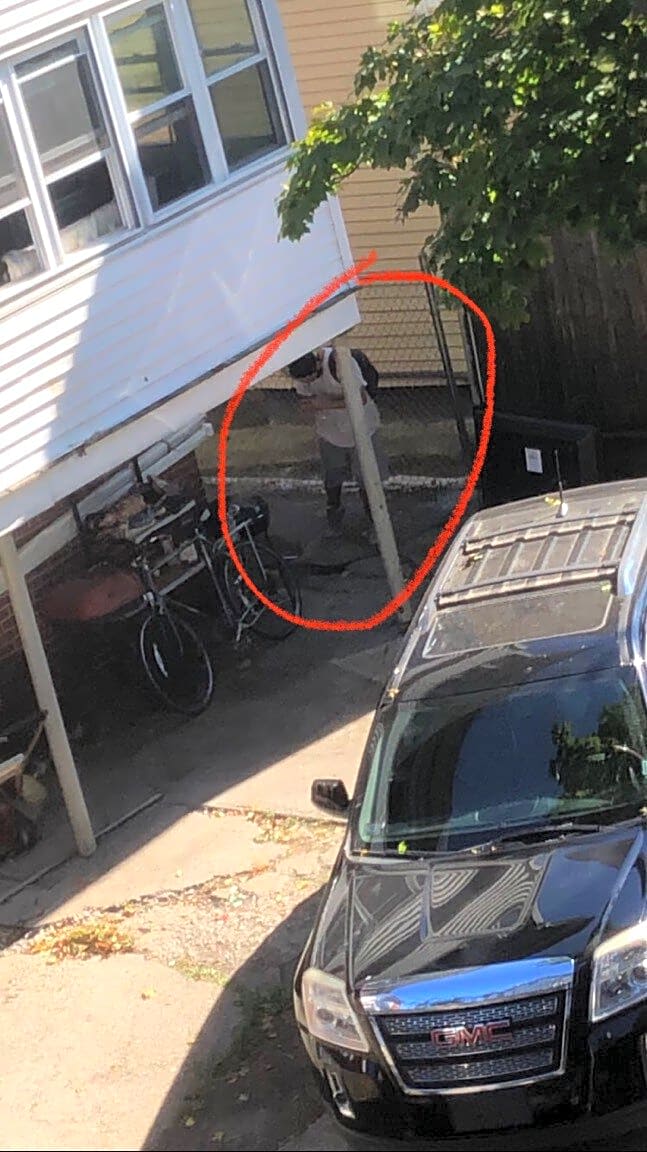 Image submitted with report