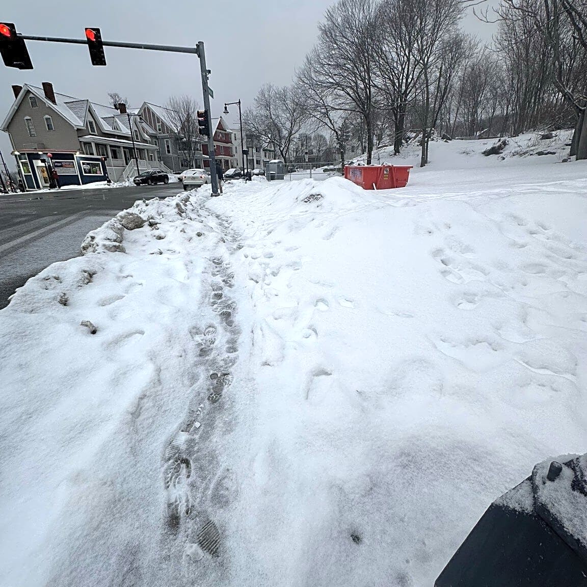 Image submitted with report