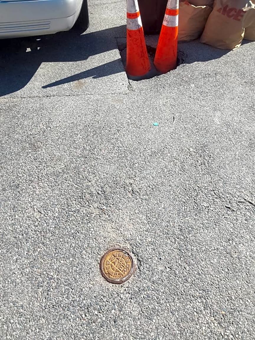 Image submitted with report