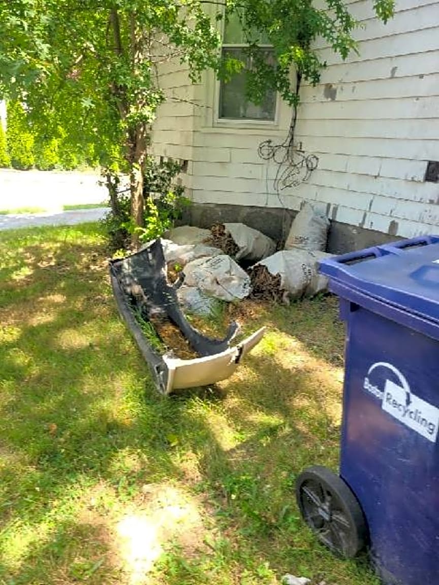 Image submitted with report