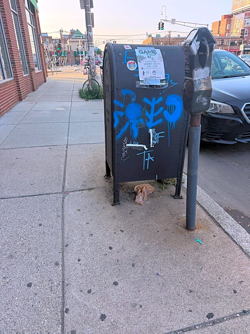 Image submitted with report