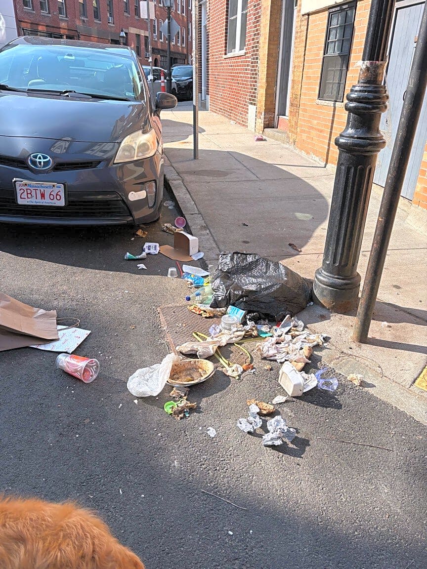 Image submitted with report