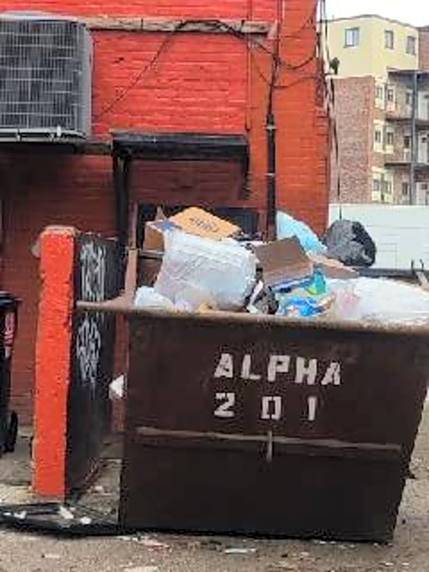 Image submitted with report