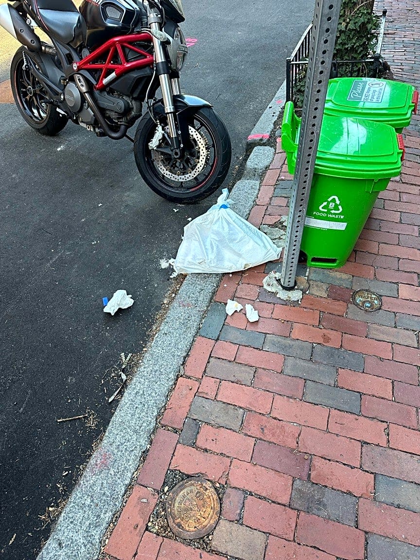 Image submitted with report