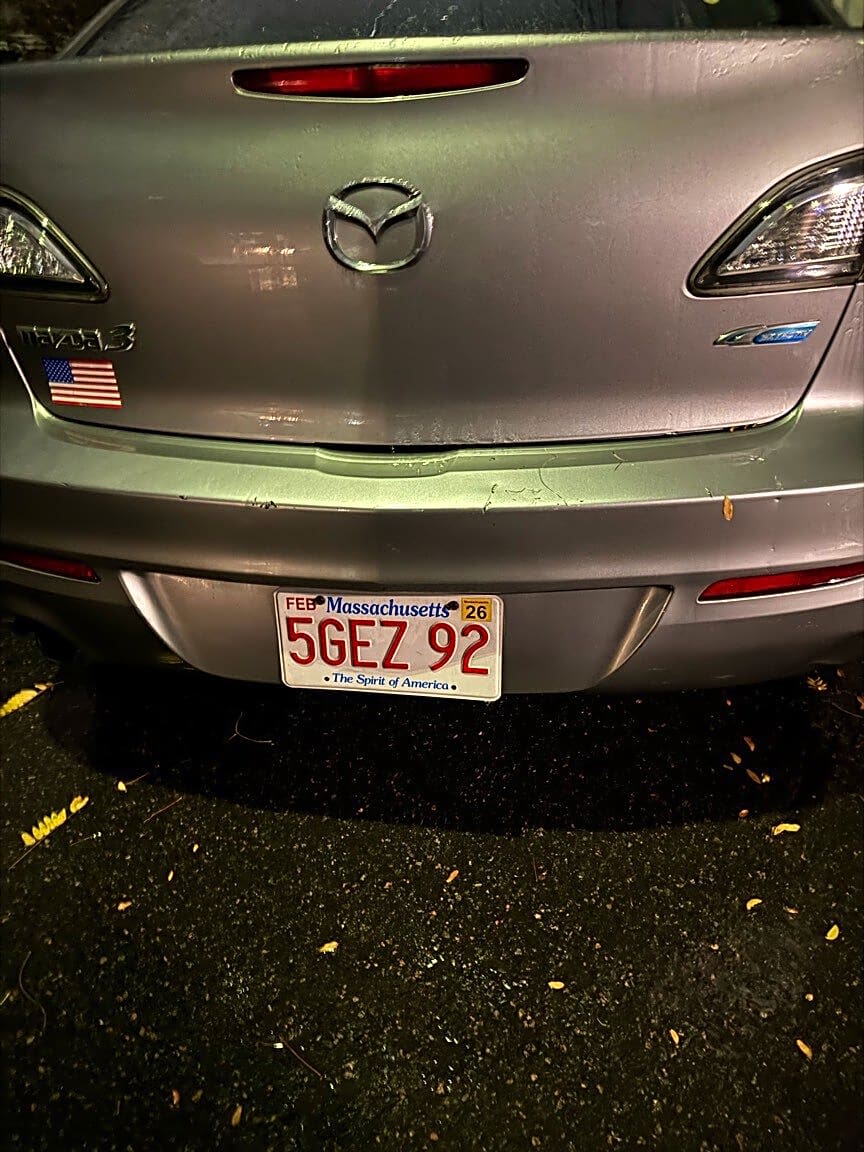 Image submitted with report