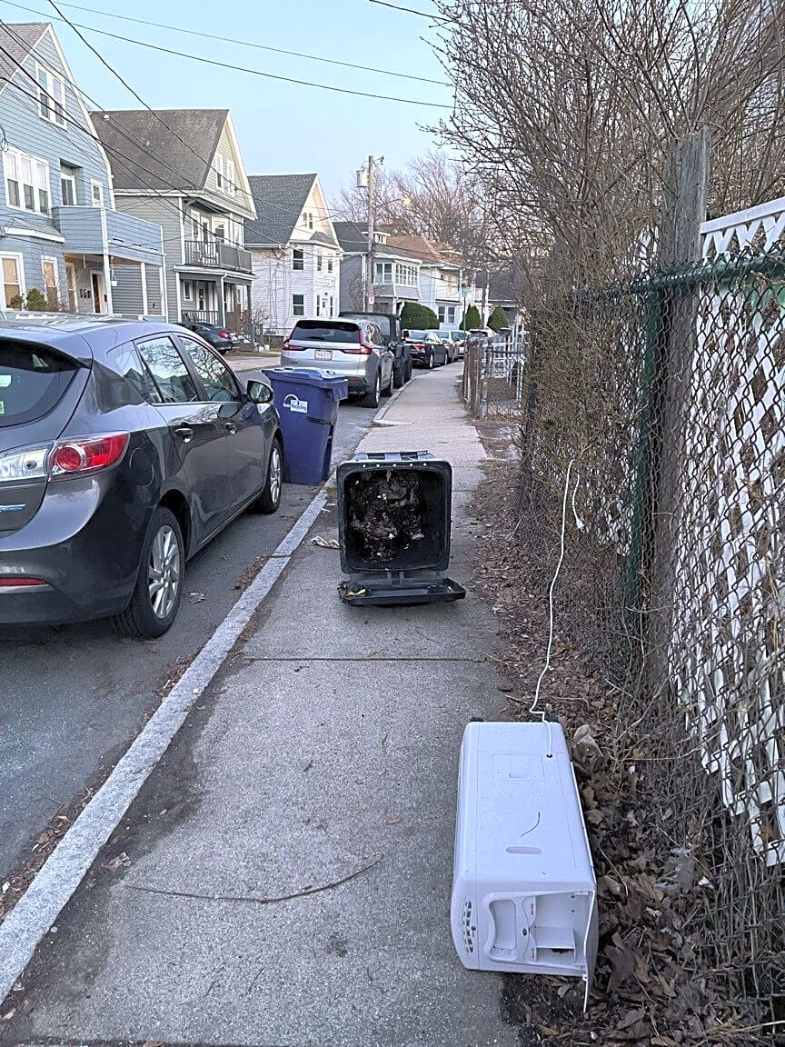 Image submitted with report