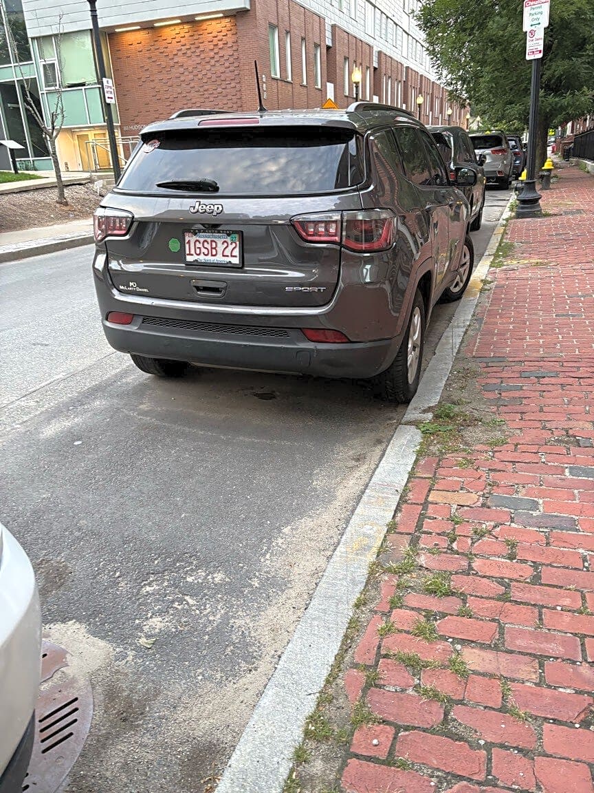 Image submitted with report
