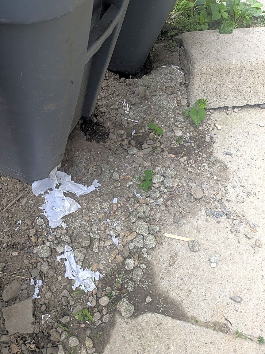 Image submitted with report