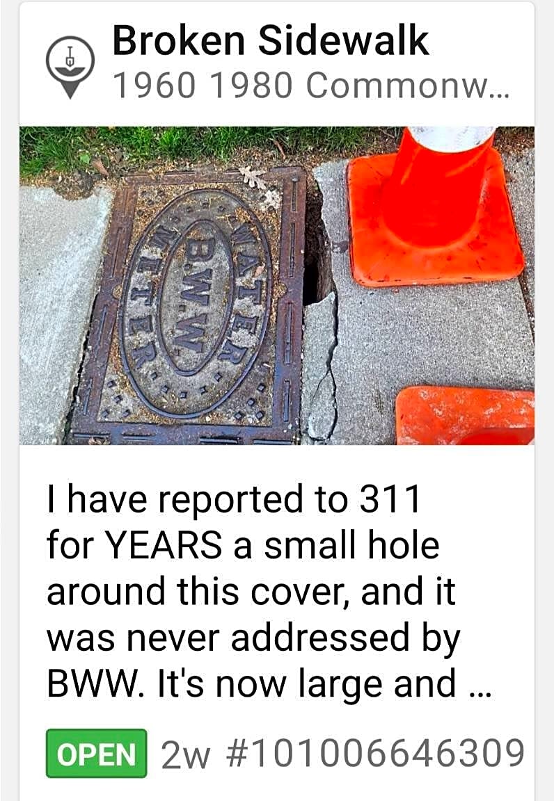 Image submitted with report
