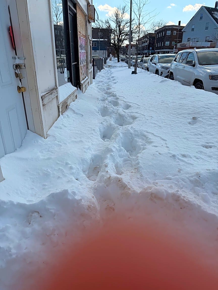 Image submitted with report