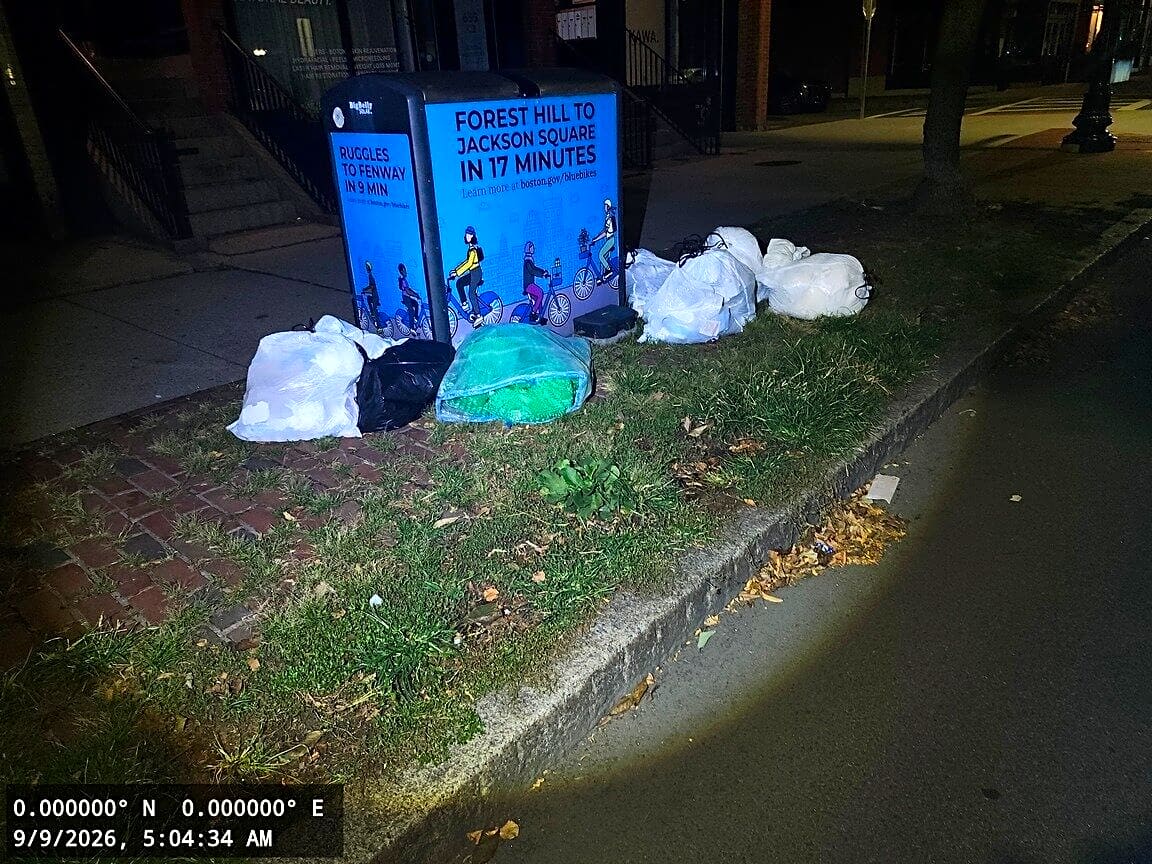 Image submitted with report