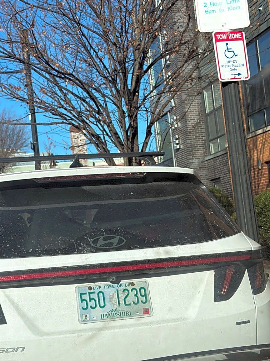 Image submitted with report