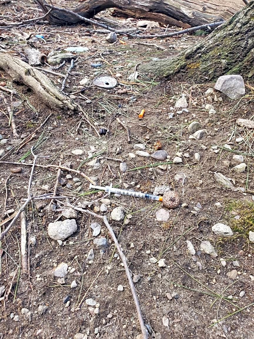 Image submitted with report