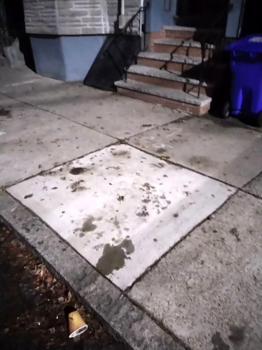 Image submitted with report