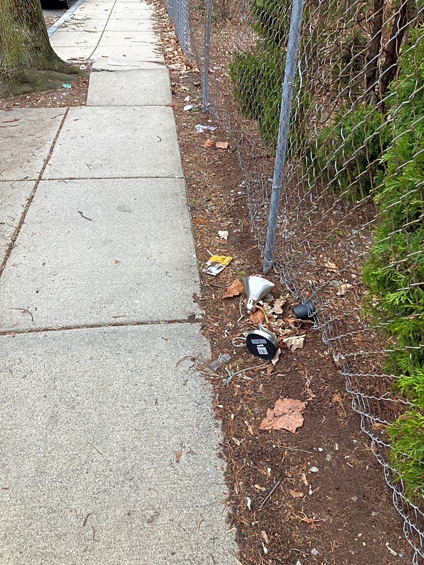 Image submitted with report