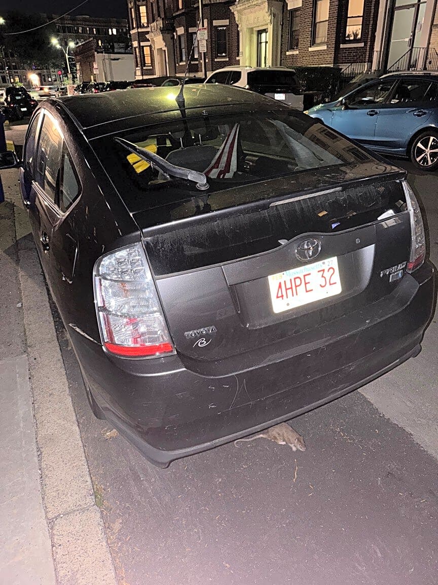 Image submitted with report