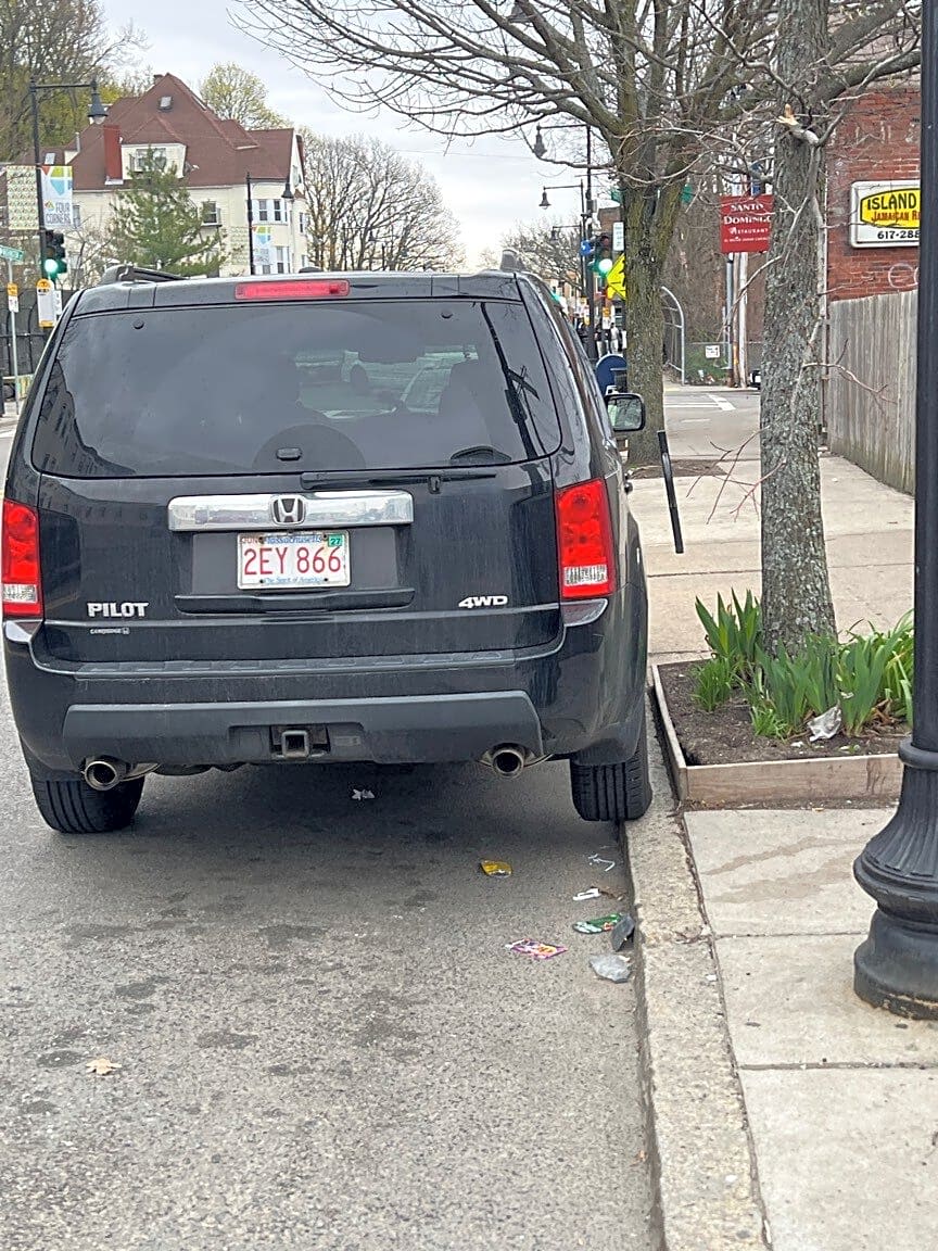 Image submitted with report