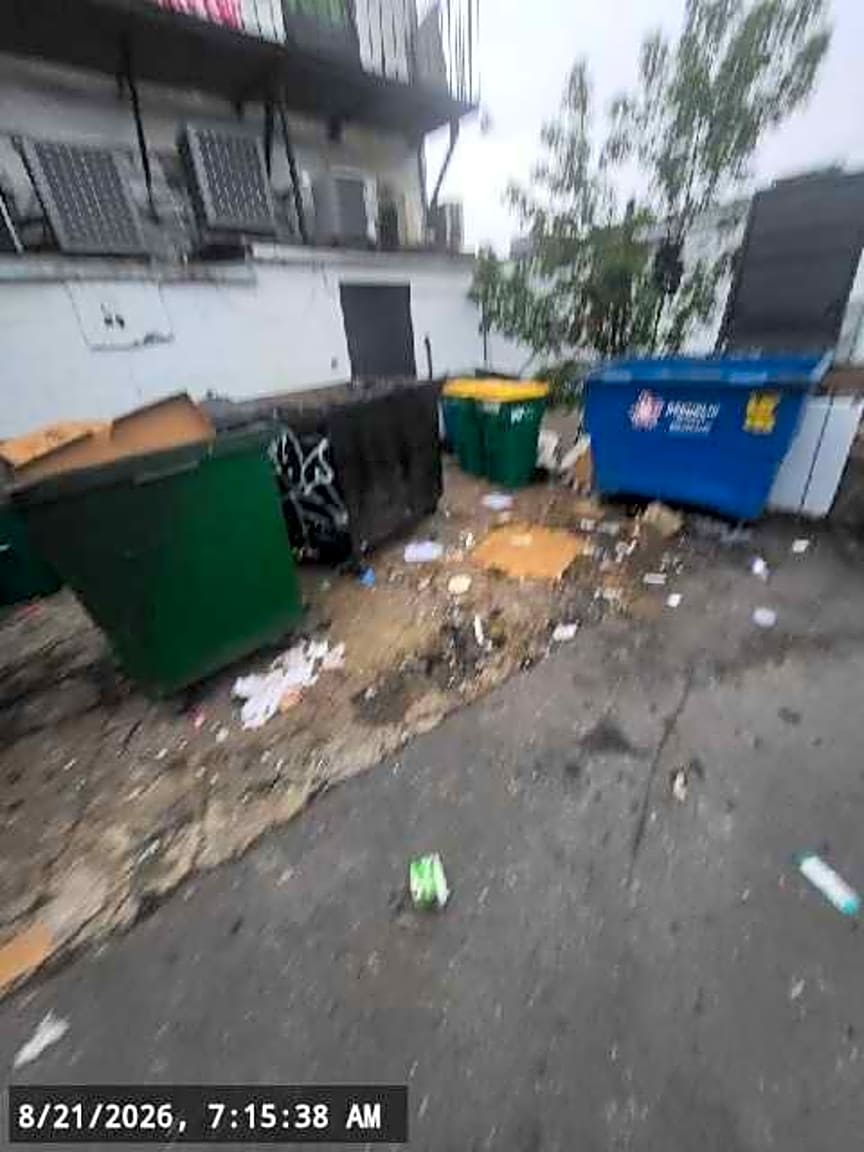 Image submitted with report
